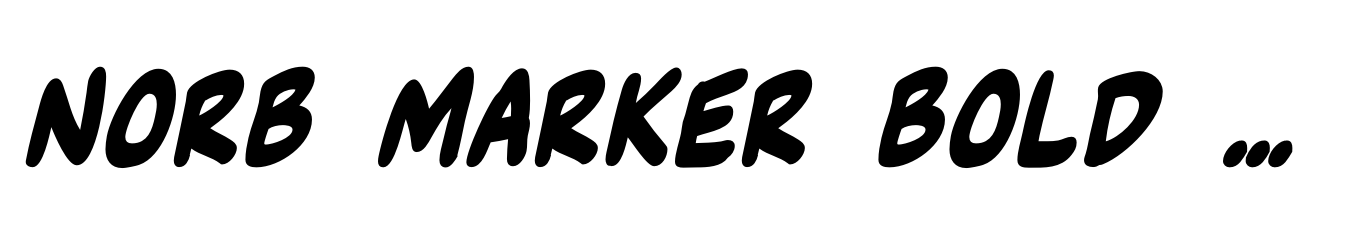 NorB Marker Bold Italic